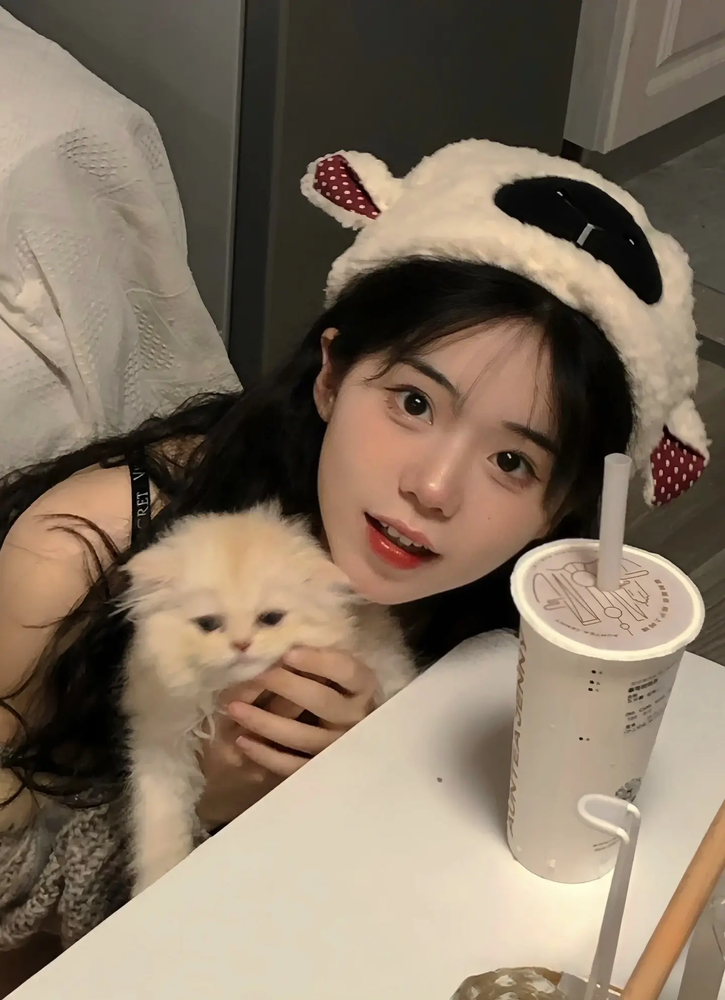 2023020803395229 2023020803395229