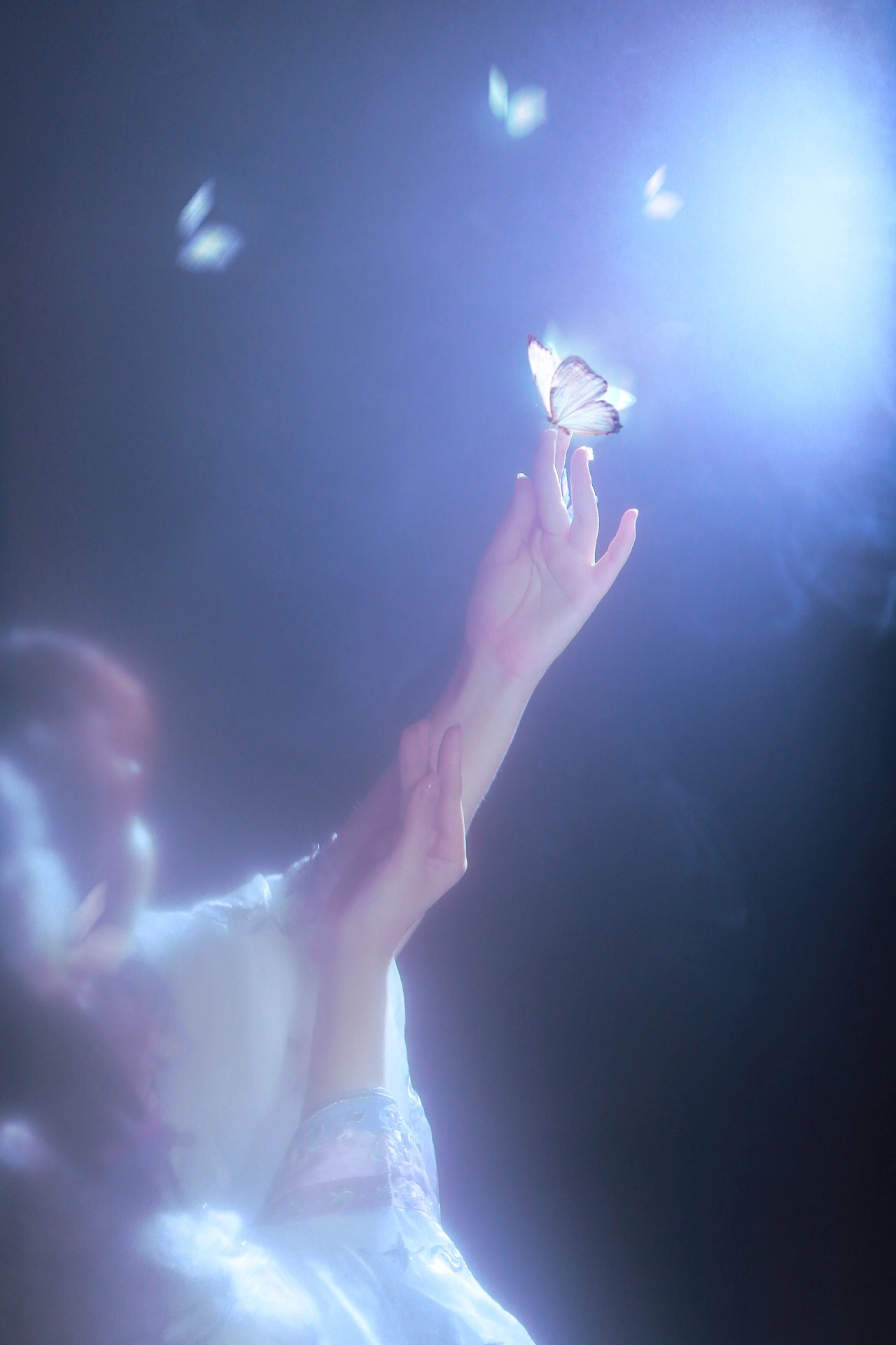 蝶梦飞花,春色满园。山川如酒敬旷世温柔至死方休