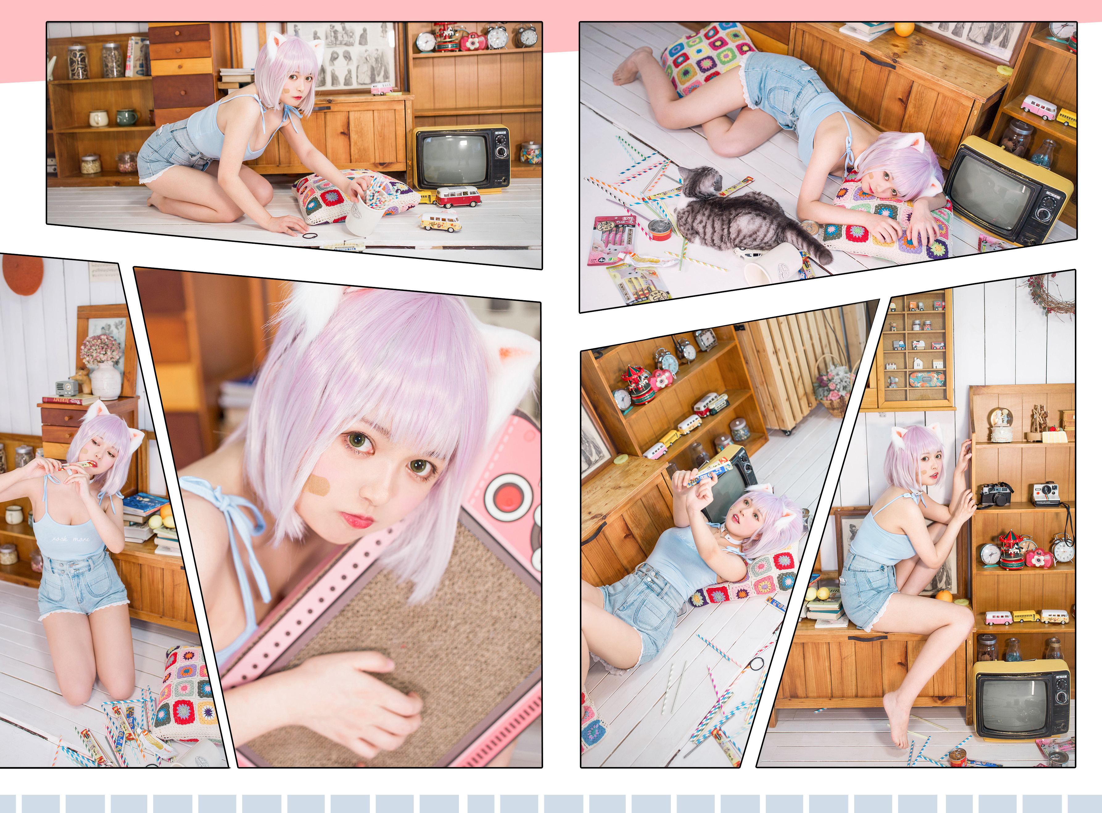 NO.28-养猫小课堂 NO.28-养猫小课堂