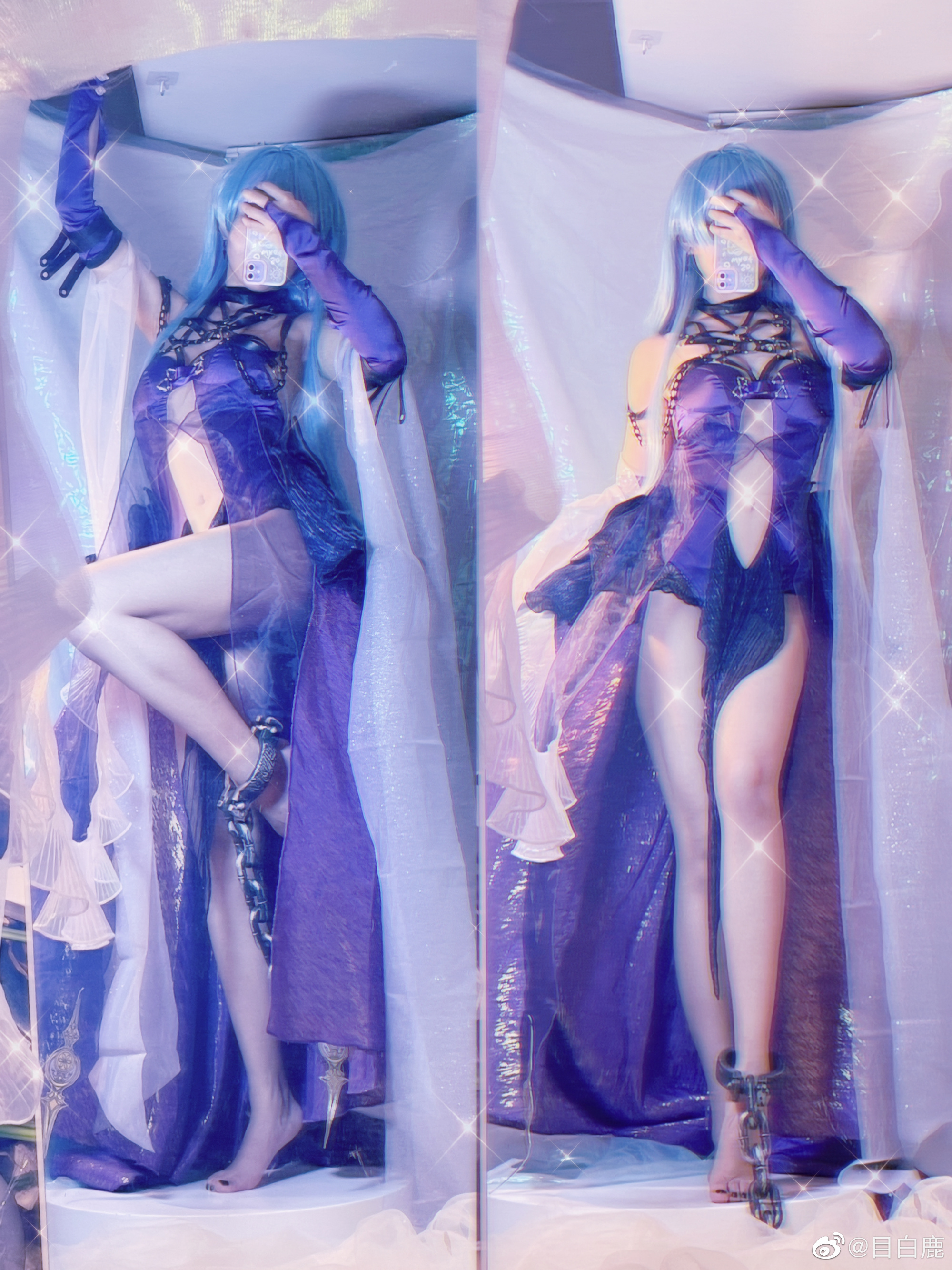 巷子里的猫很自由,却没有归宿