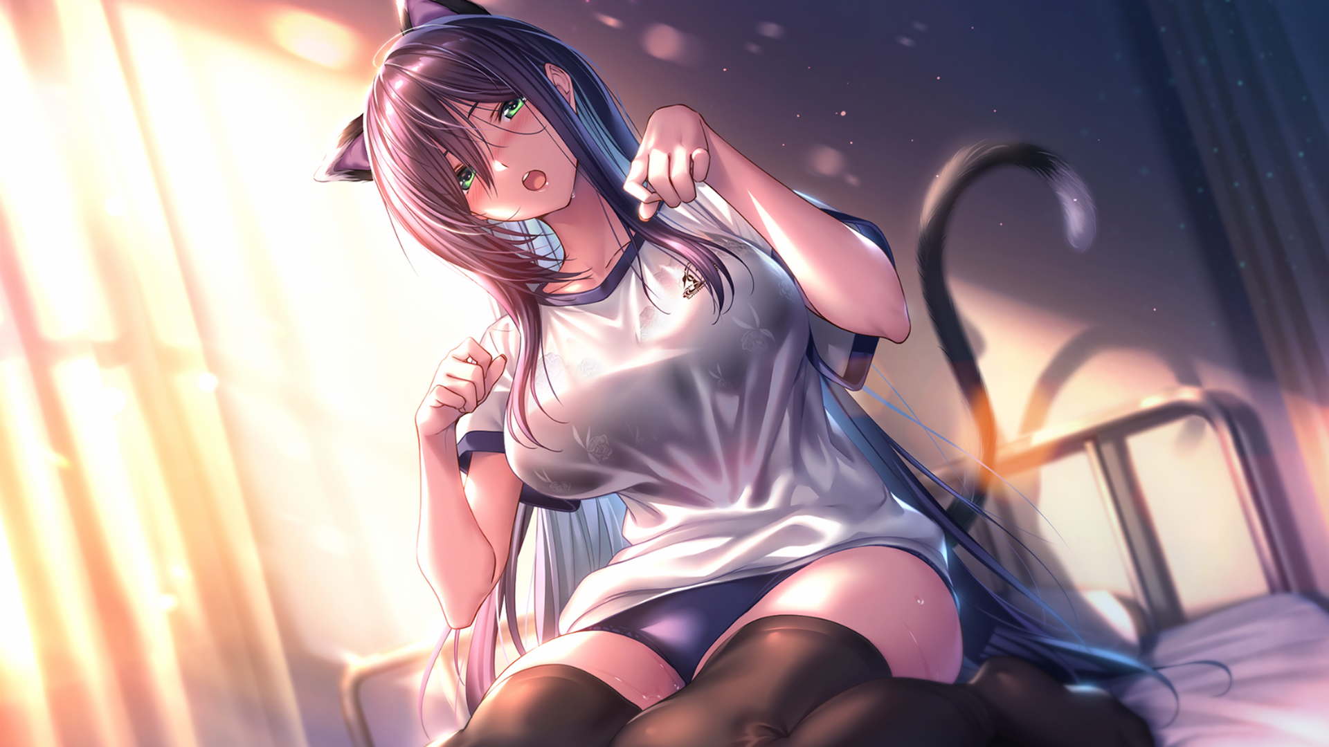 2024092402543617 2024092402543617