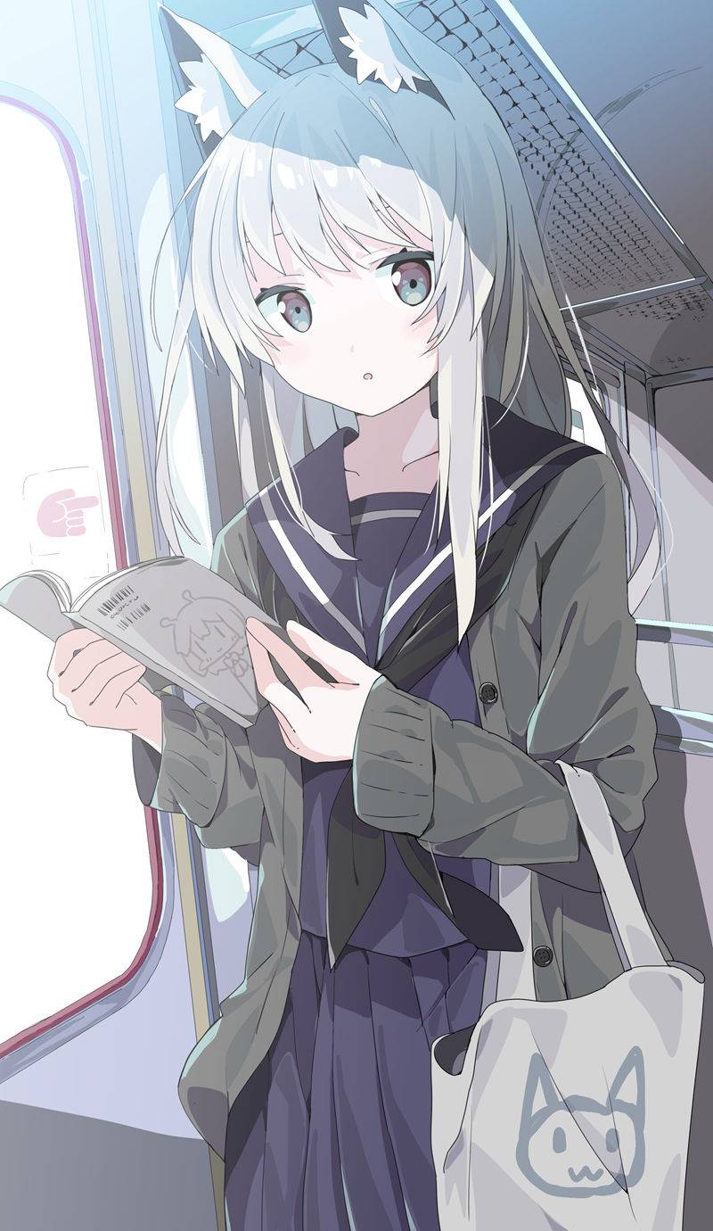 km170PSD_17 km170PSD_17