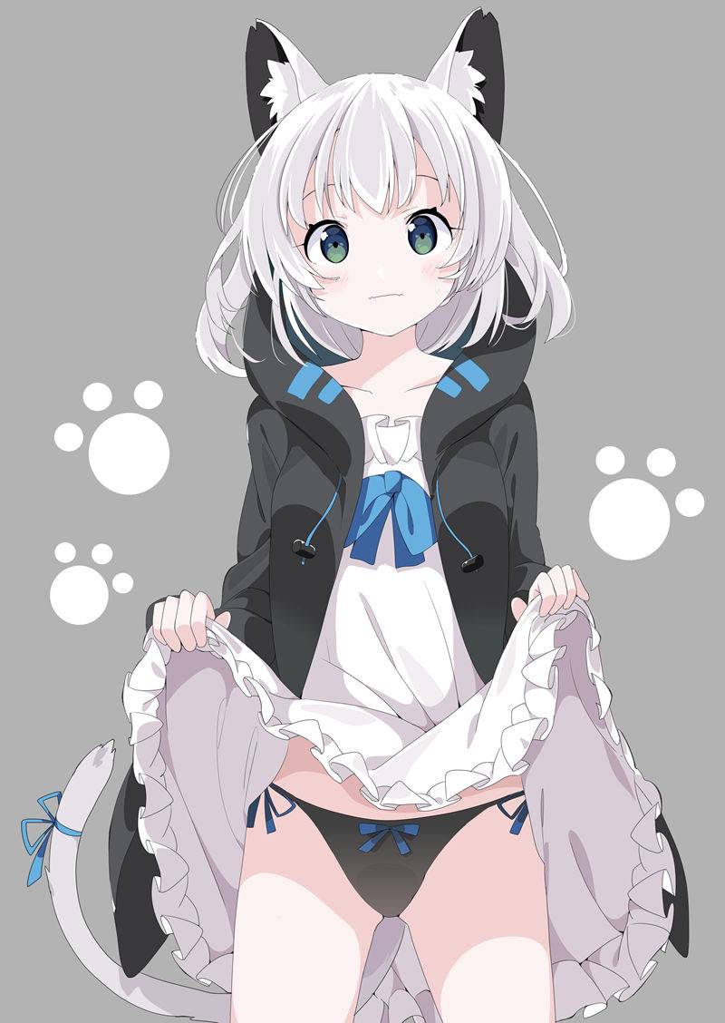 km170PSD_21 km170PSD_21