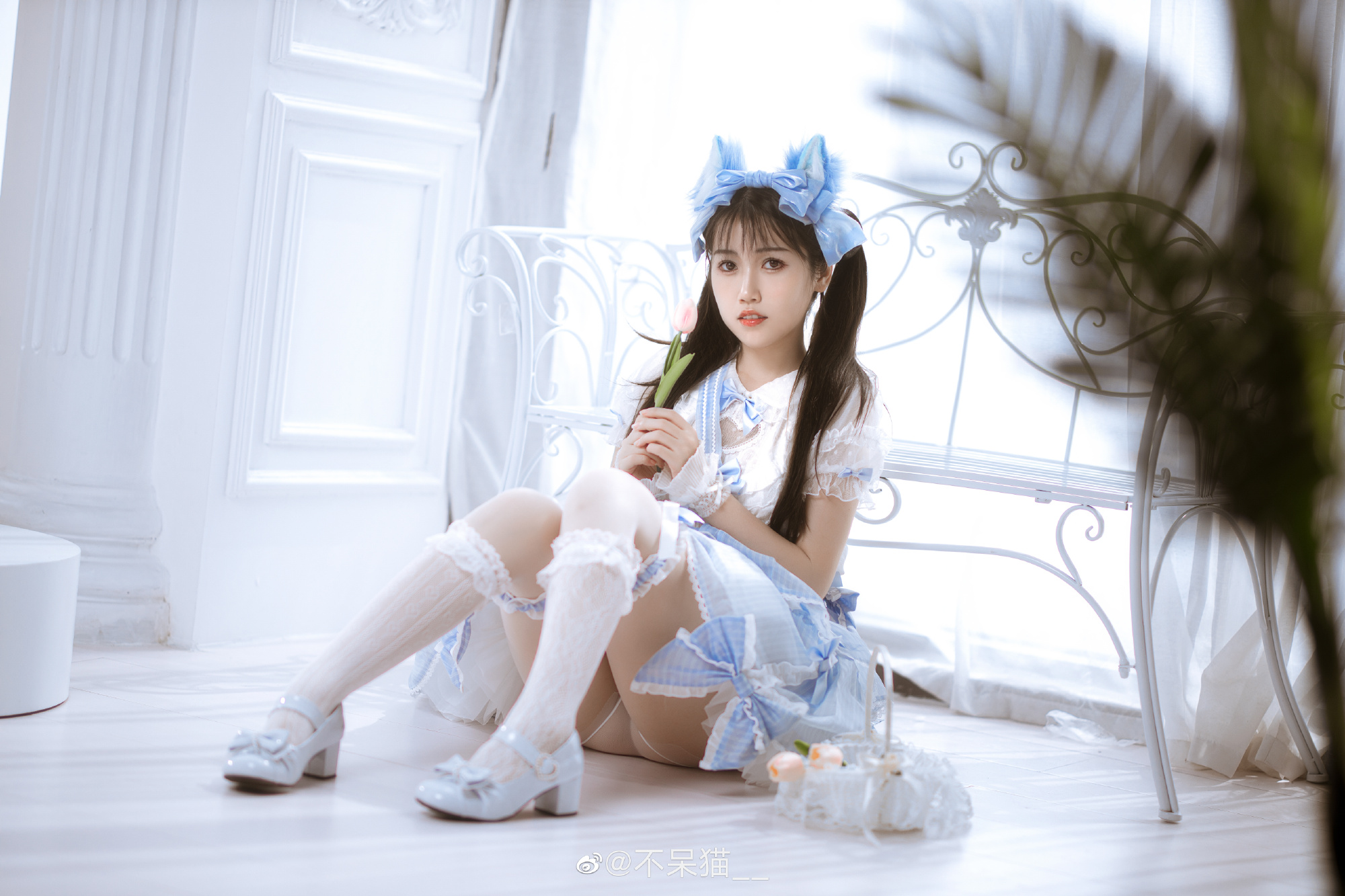 摄影图册 | 今天天气真好,我的意思是……