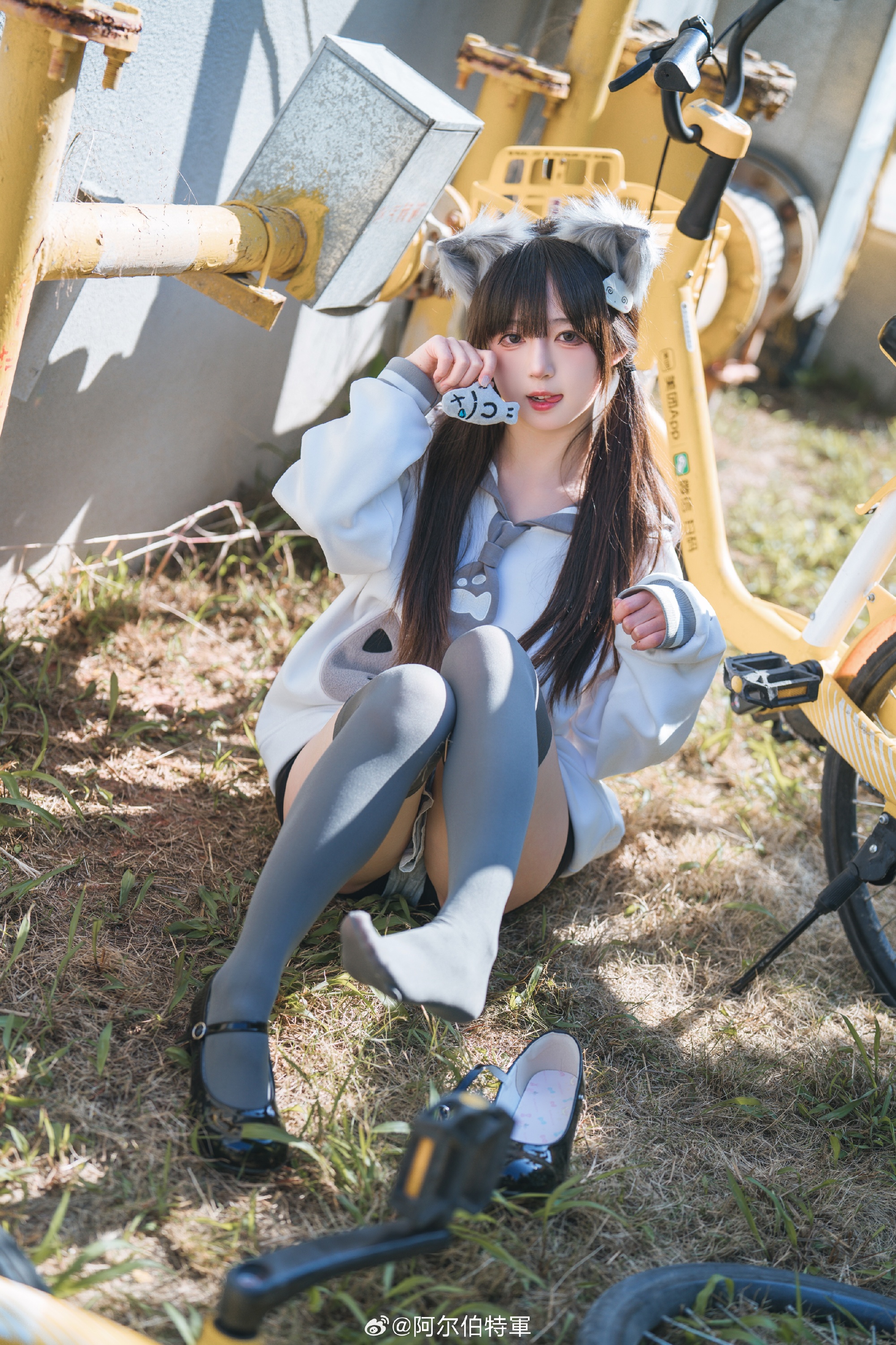 摄影图册 | 走,载你去嗦小鱼干!