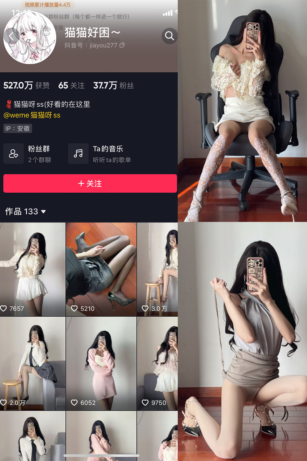 抖音 猫猫好困 微密圈 NO.008期