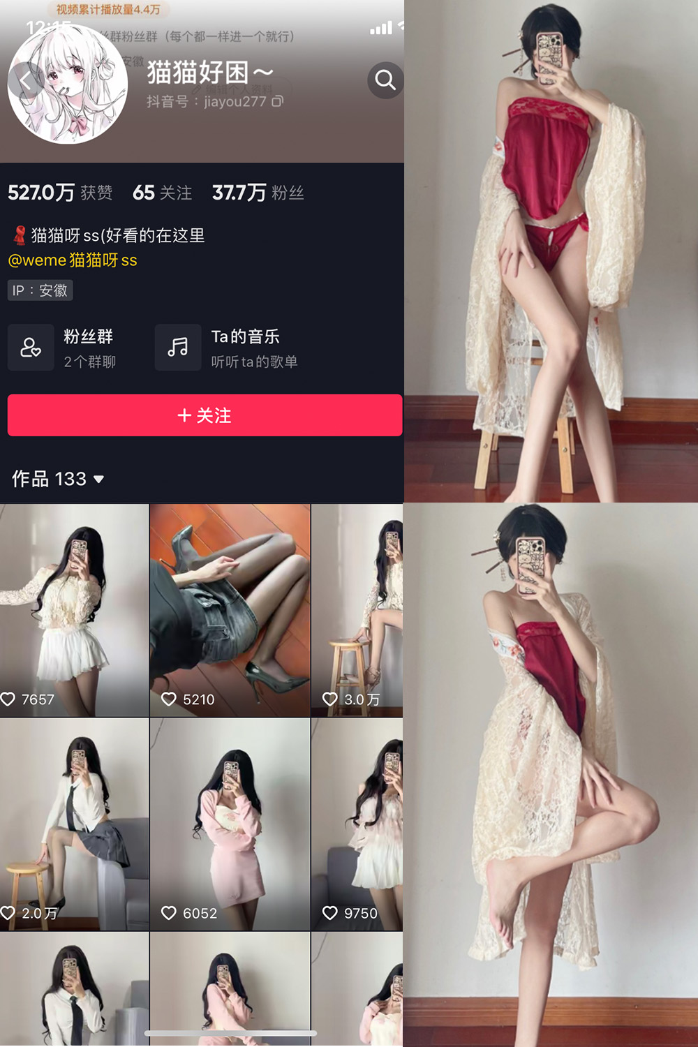 抖音 猫猫好困 微密圈 NO.012期