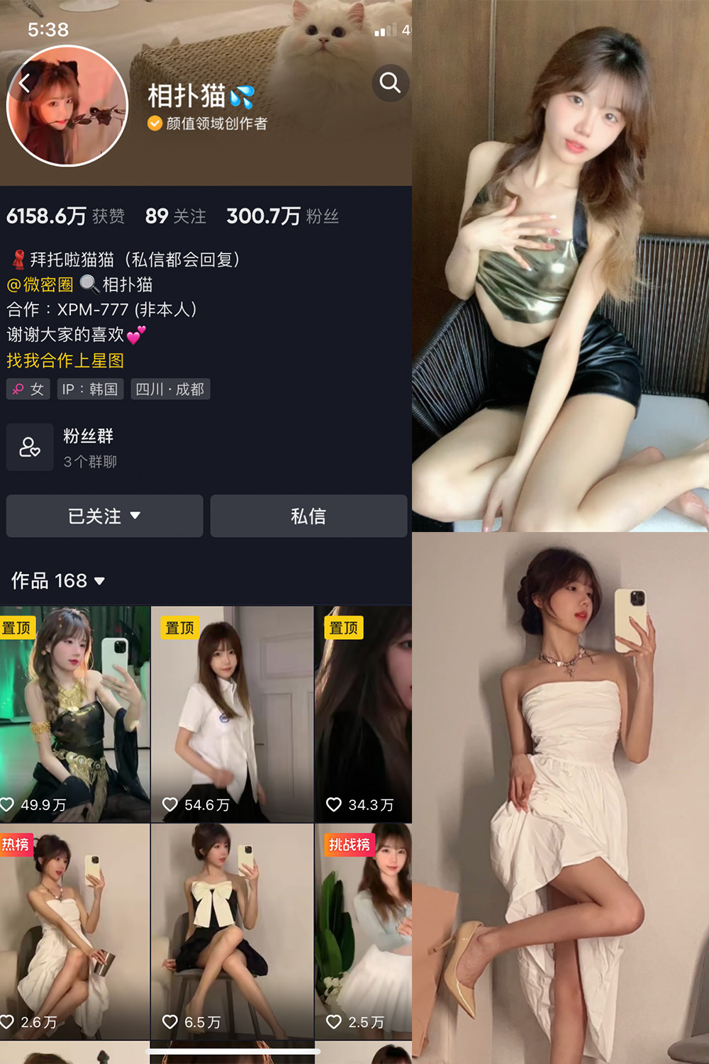 抖音 相扑猫 微密圈 NO.002期