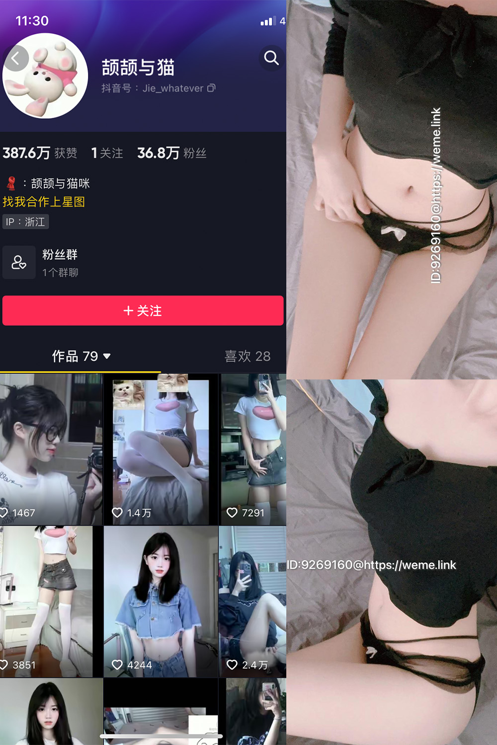 抖音 颉颉与猫 微密圈 NO.004期 更新至:2023.10.14