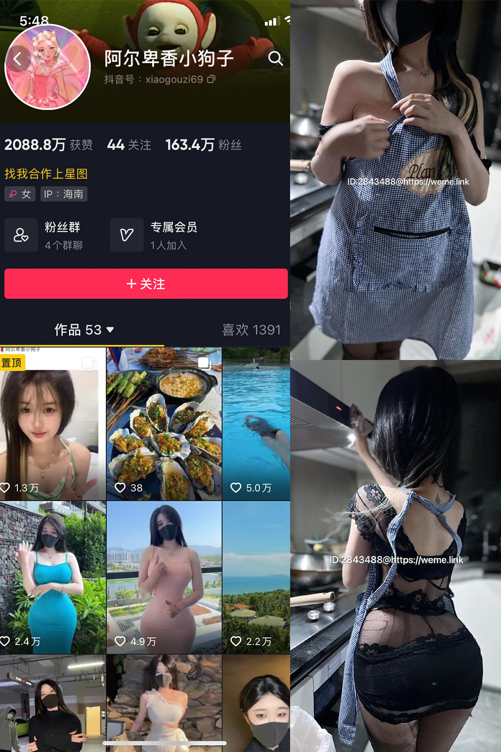 抖音 阿尔卑香小狗子 微密圈 NO.009期 更新至：2023.6.16