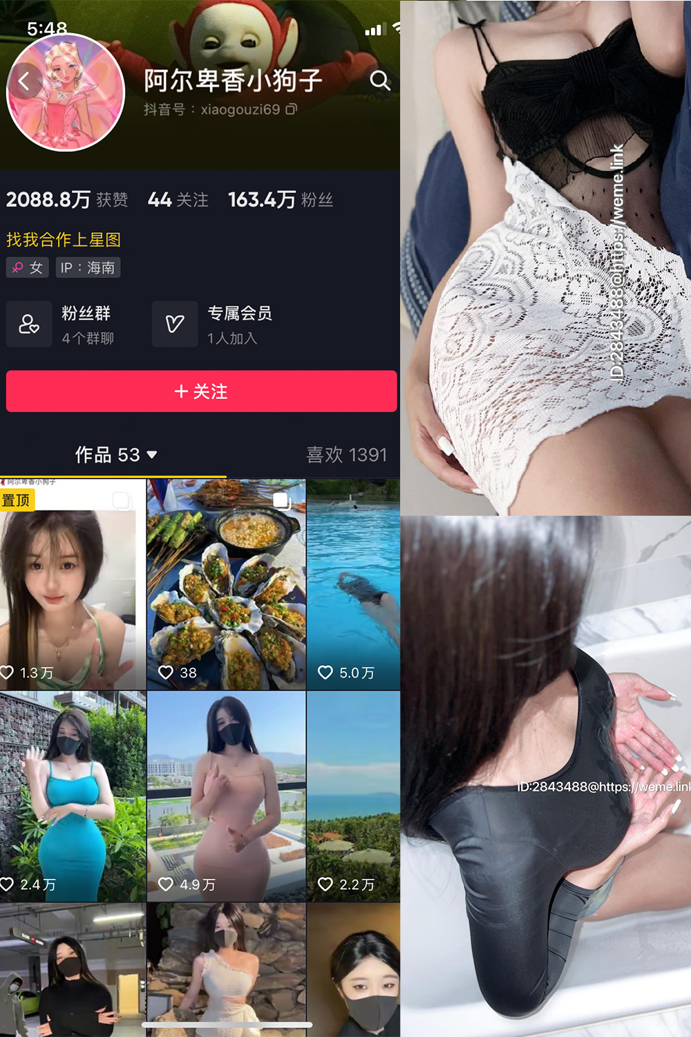 抖音 阿尔卑香小狗子 微密圈 NO.011期 更新至:2023.7.6