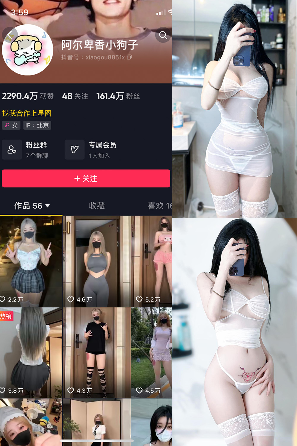 抖音 阿尔卑香小狗子 微密圈 NO.022期 更新至：2023.9.7