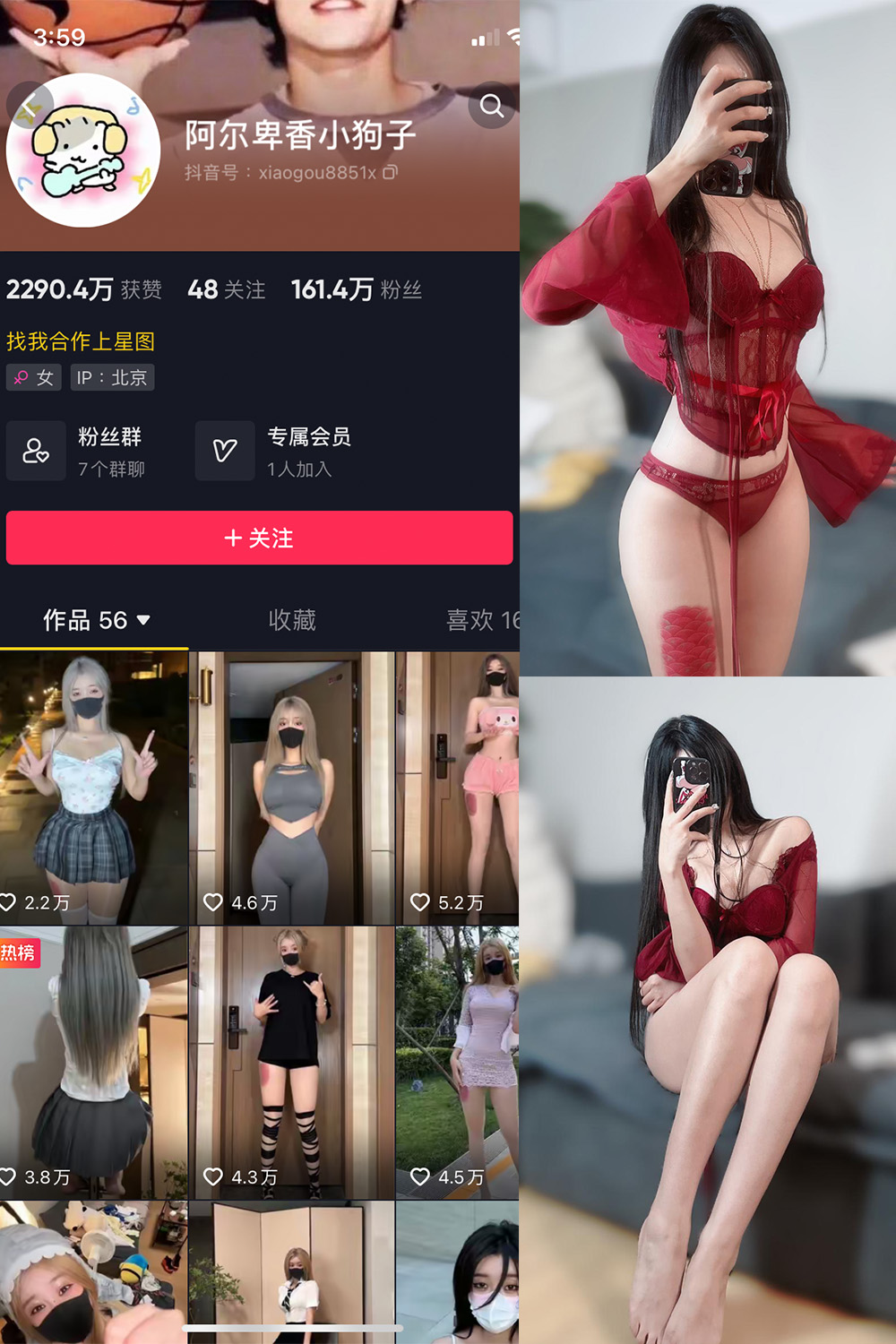 抖音 阿尔卑香小狗子 微密圈 NO.025期 更新至：2023.9.20