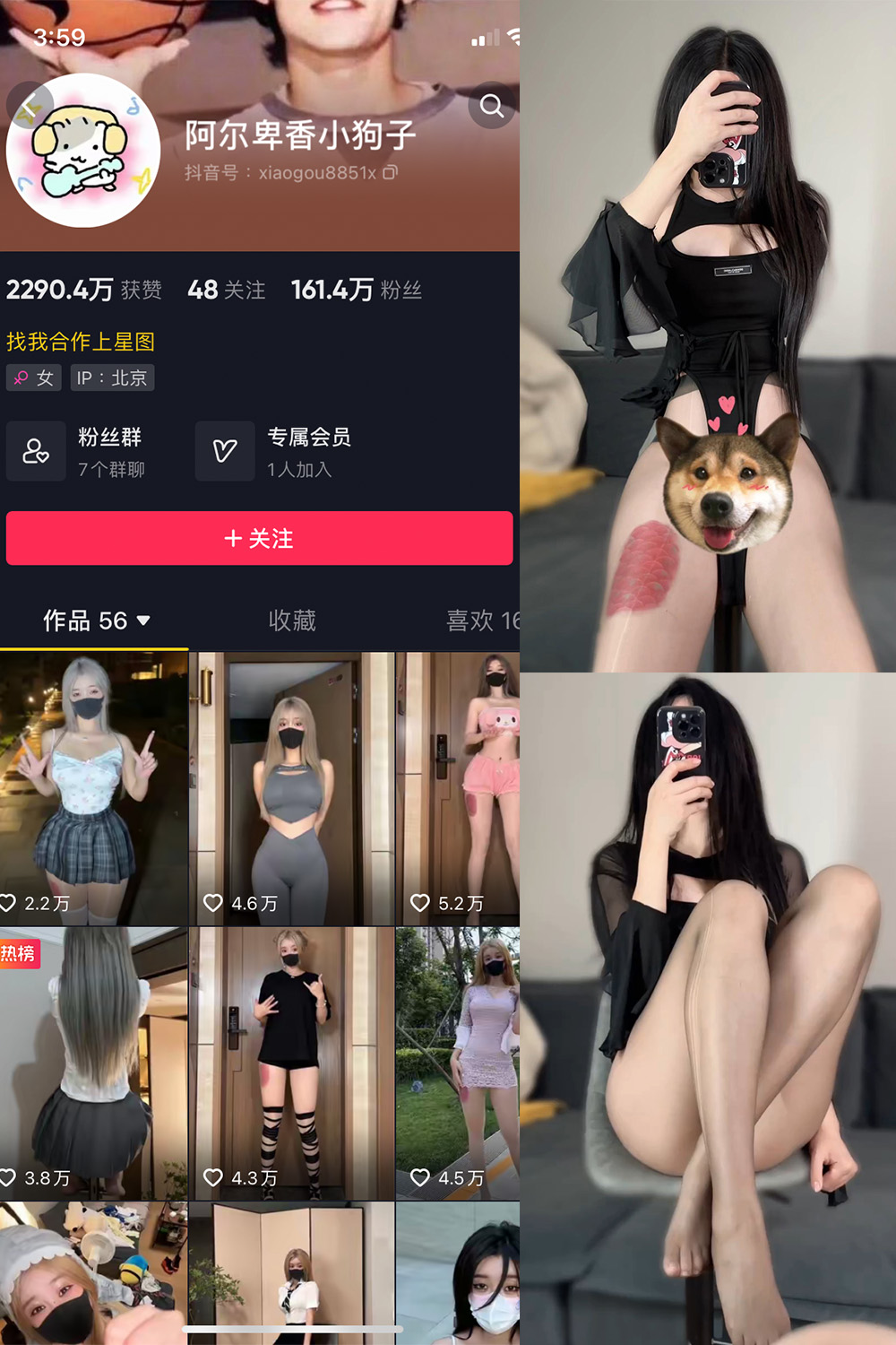 抖音 阿尔卑香小狗子 微密圈 NO.026期 更新至：2023.9.27