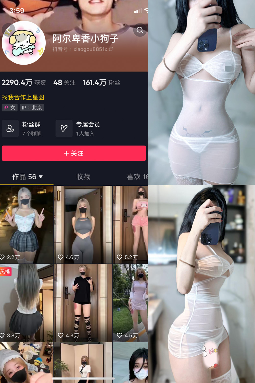 抖音 阿尔卑香小狗子 微密圈 NO.028期 更新至:2023.10.1