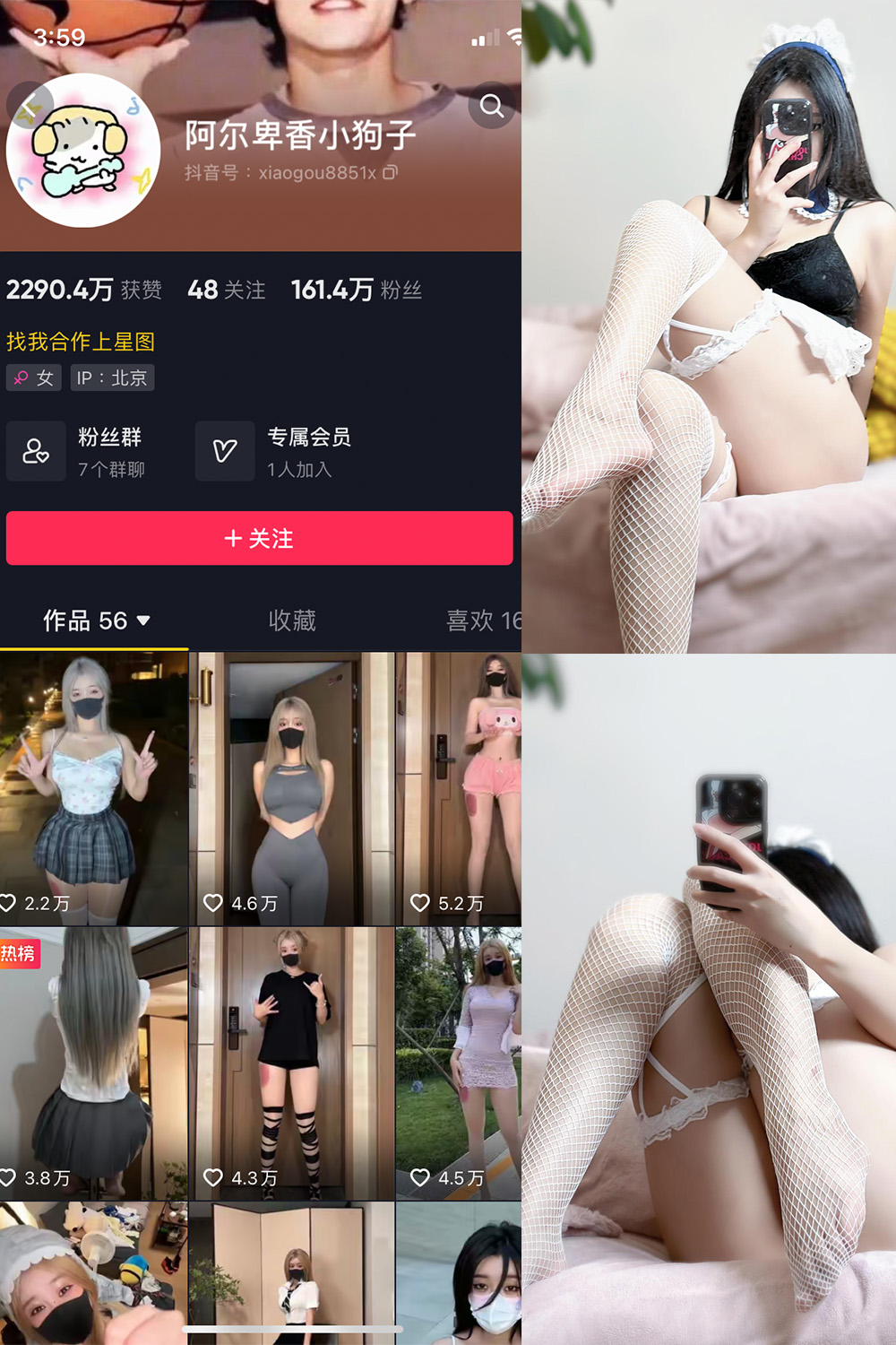 抖音 阿尔卑香小狗子 微密圈 NO.033期 更新至：2023.10.16