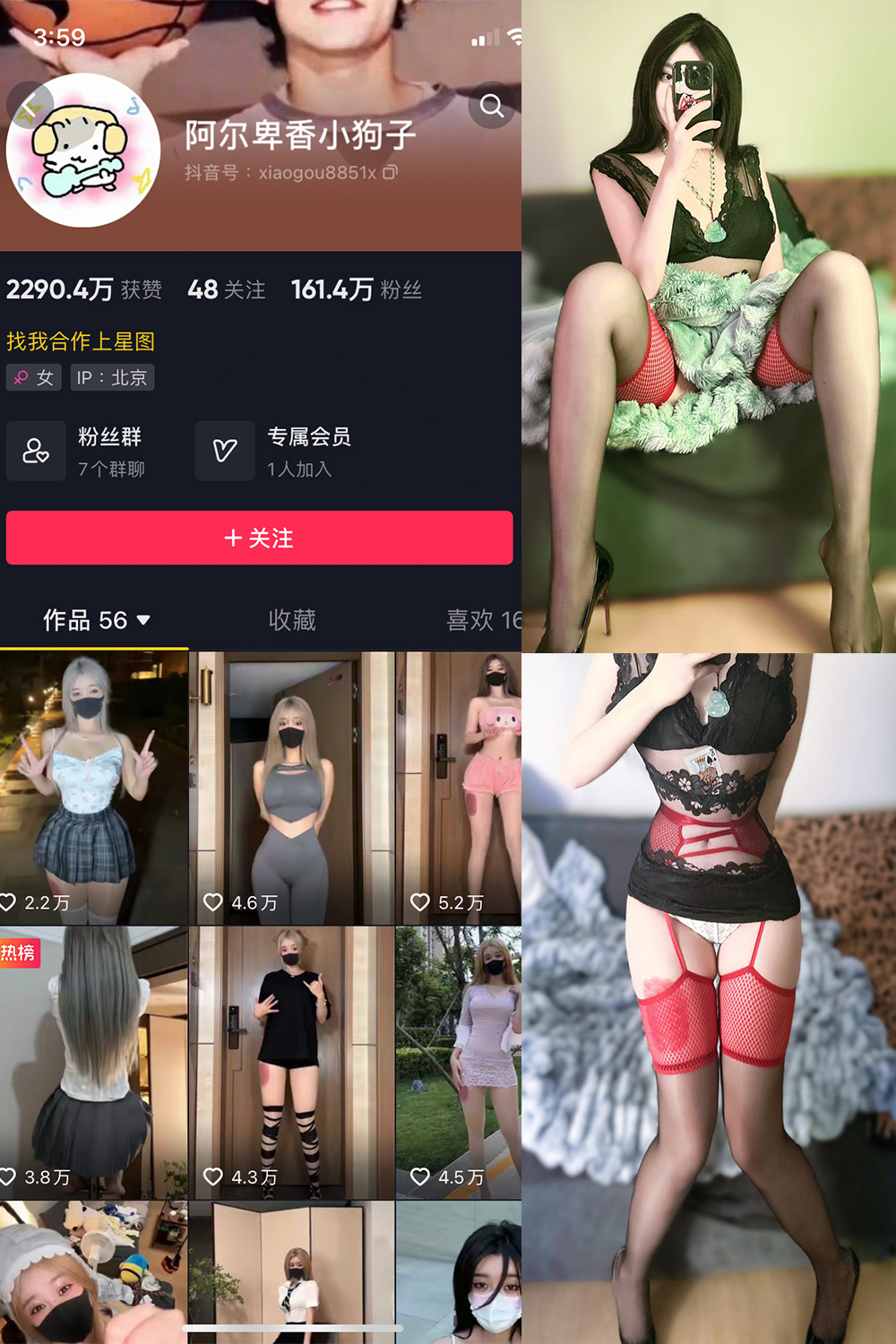 抖音 阿尔卑香小狗子 微密圈 NO.034期 更新至：2023.10.23