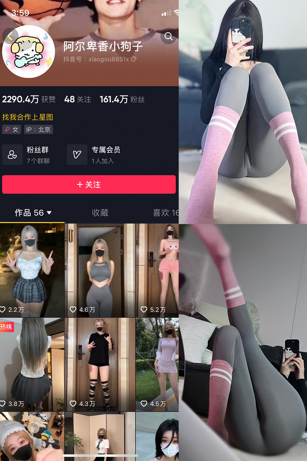 抖音 阿尔卑香小狗子 微密圈 NO.038期 更新至:2023.11.23