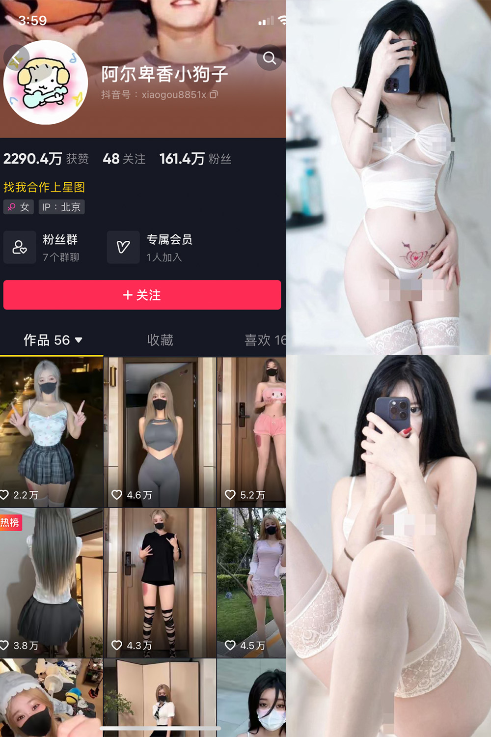 抖音 阿尔卑香小狗子 微密圈 NO.043期 更新至:2024.1.26