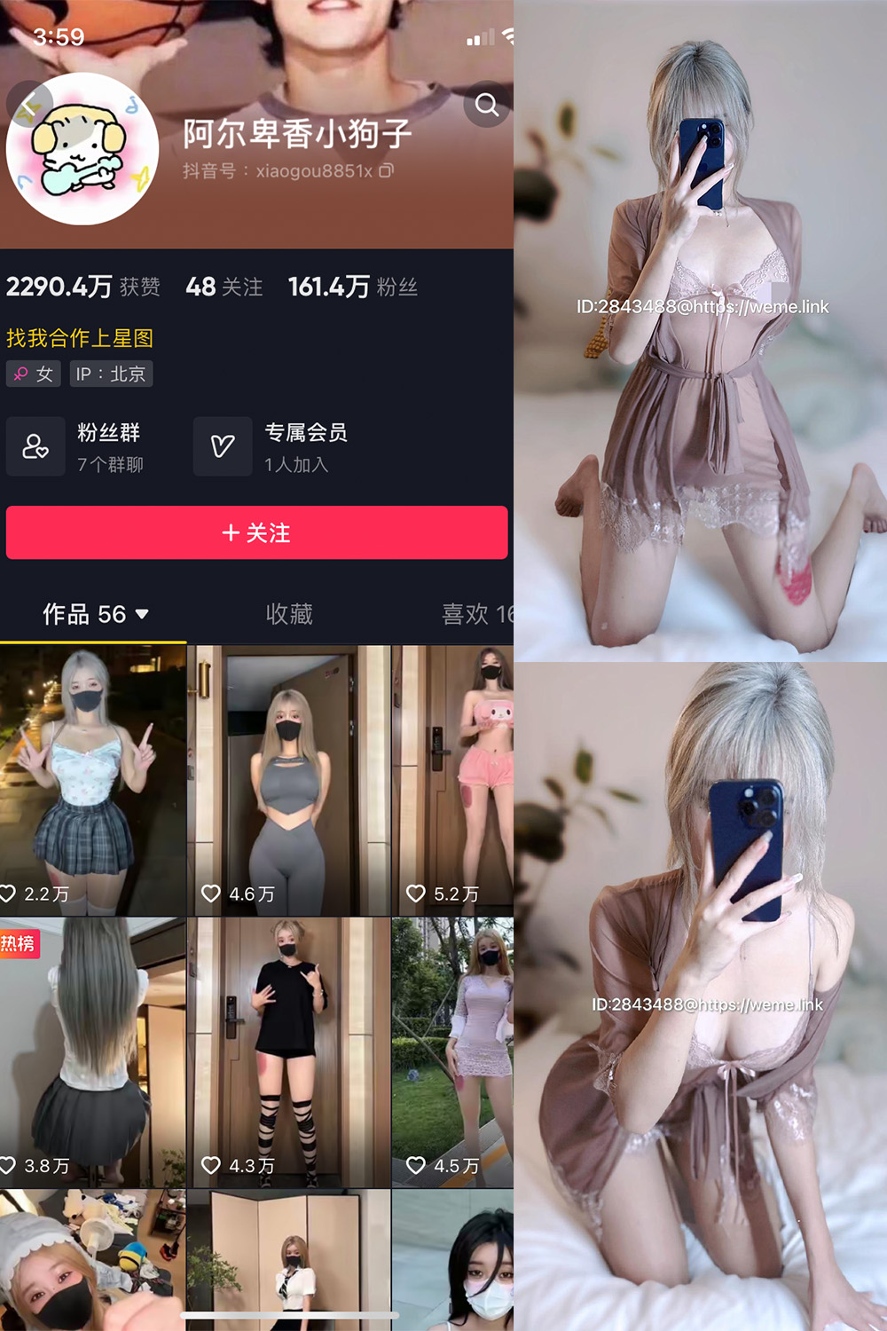 抖音 阿尔卑香小狗子 微密圈 NO.045期 更新至:2026.6.9