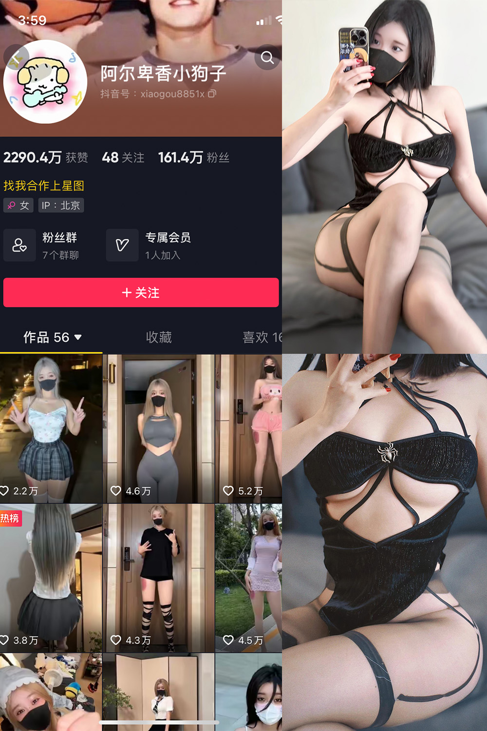 抖音 阿尔卑香小狗子 微密圈 NO.046期 更新至:2024.6.9