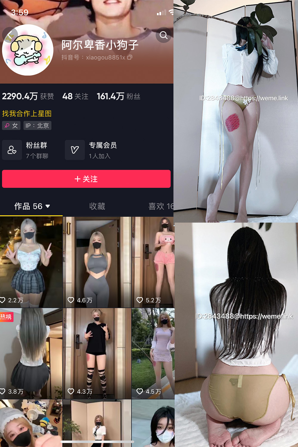 抖音 阿尔卑香小狗子 微密圈 NO.047期 更新至:2024.6.10