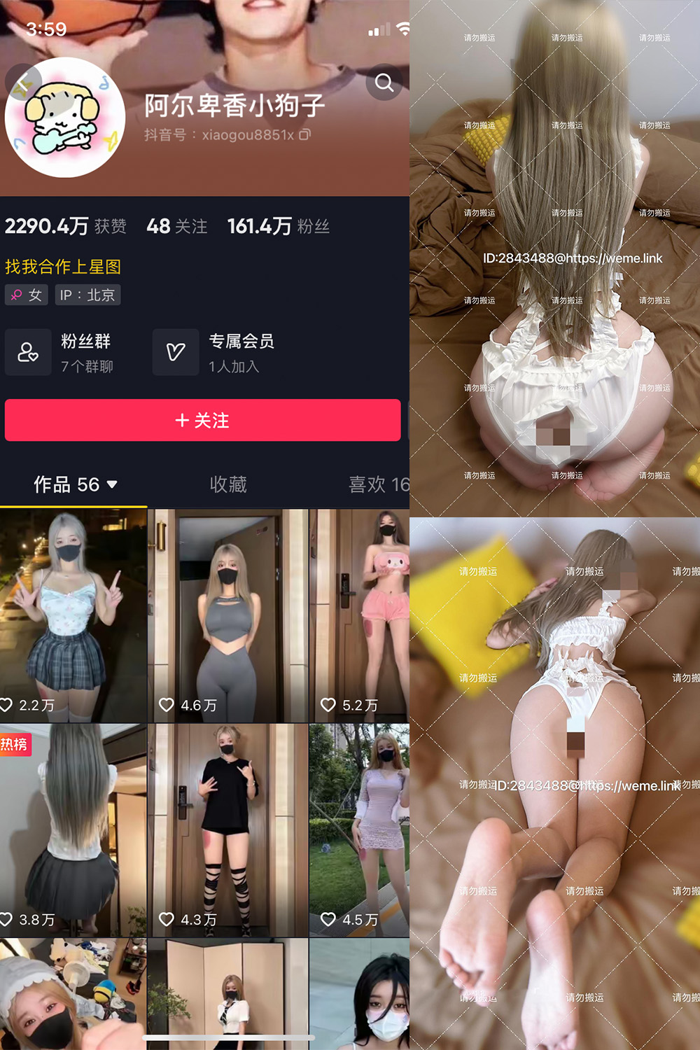 抖音 阿尔卑香小狗子 微密圈 NO.054期 更新至:2024.8.9