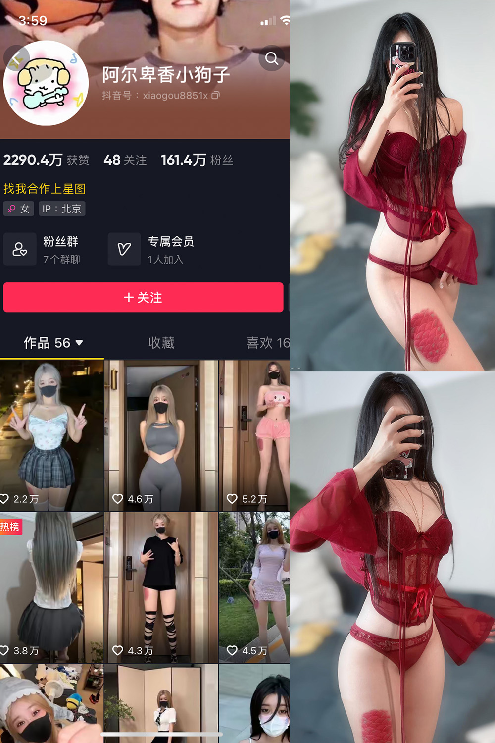 抖音 阿尔卑香小狗子 微密圈 NO.056期 更新至:2024.8.25