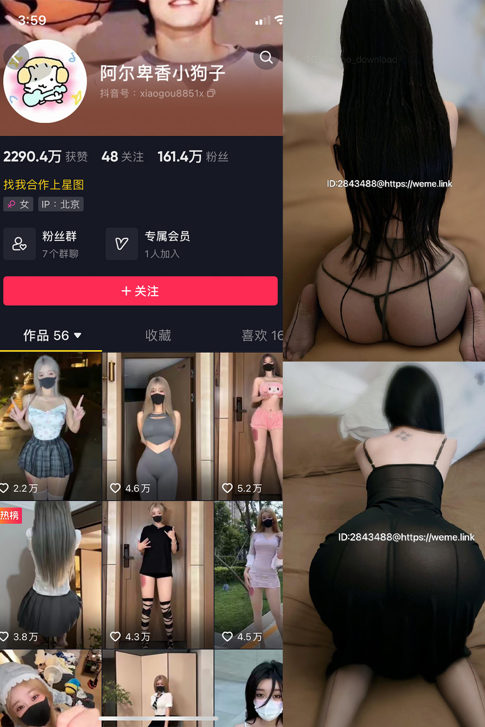 抖音 阿尔卑香小狗子 微密圈 NO.057期 更新至:2024.9.3