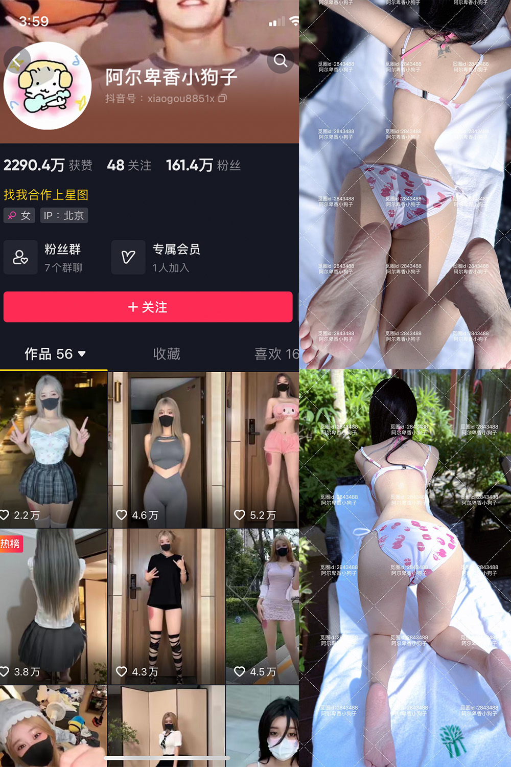 抖音 阿尔卑香小狗子 微密圈 NO.060期 更新至:2025.2.8