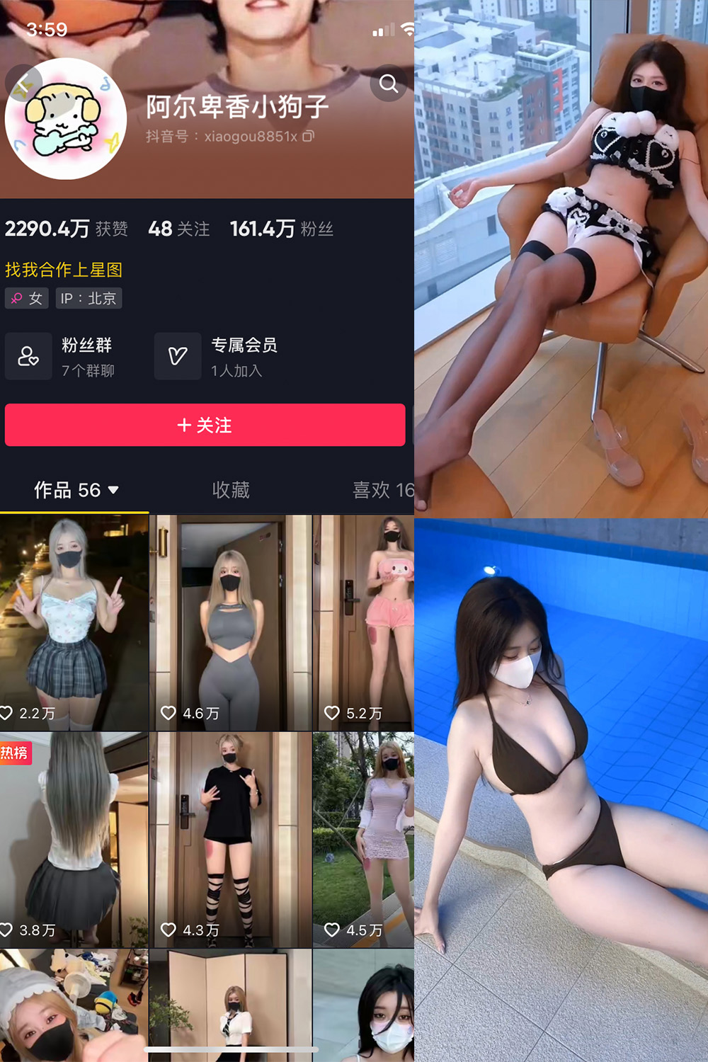 抖音 阿尔卑香小狗子 微密圈 NO.062期 更新至:2025.5.22