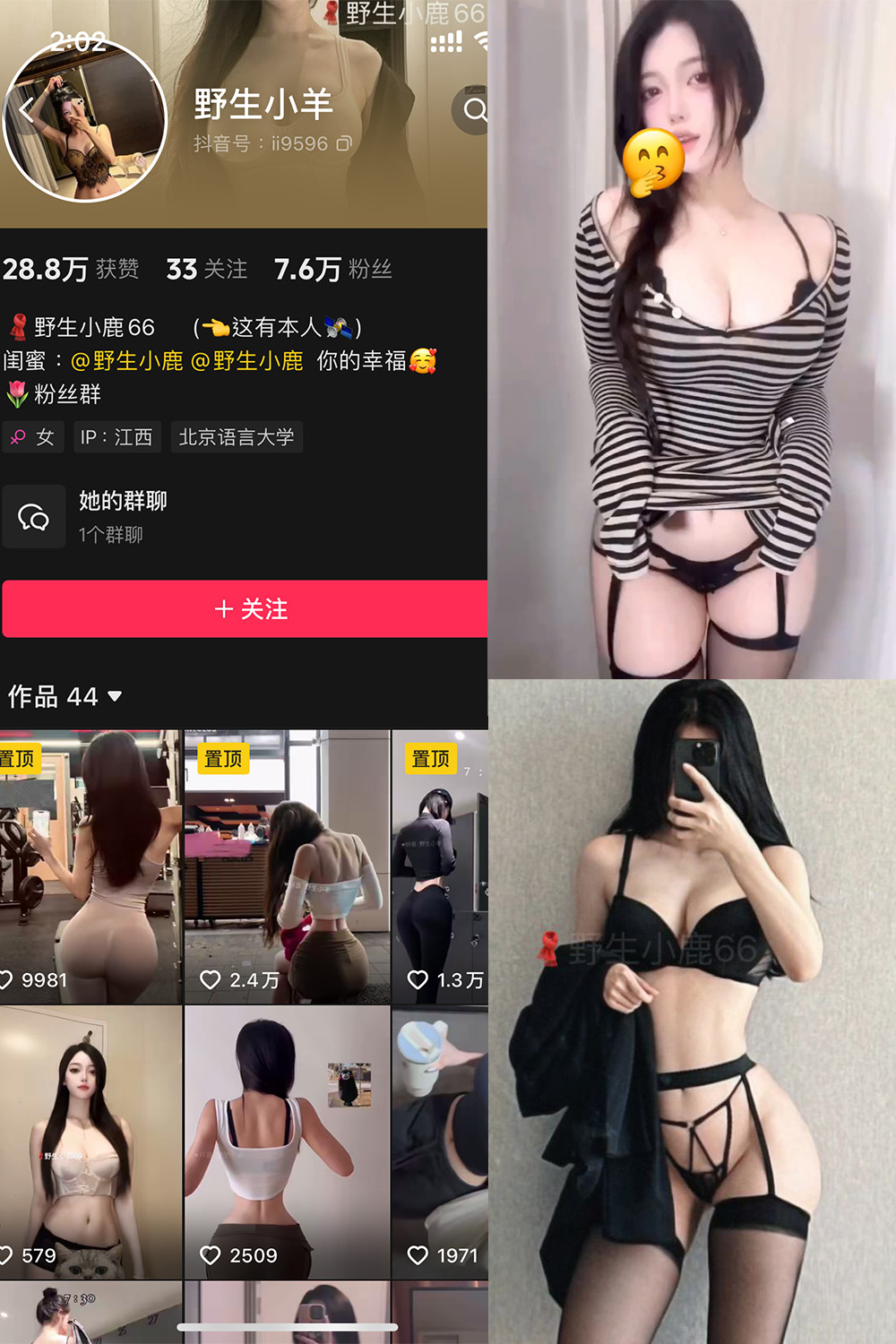 抖音 野生小羊 铁粉空间 NO.006期 更新至:2024.11.19