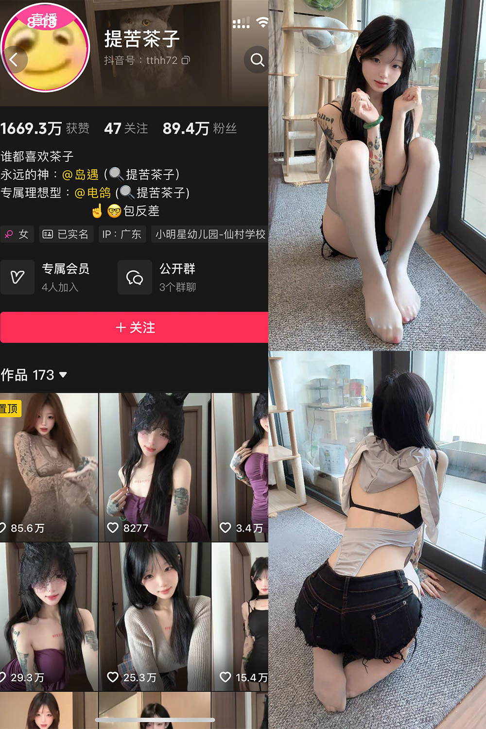 抖音 提苦茶子 岛遇 NO.004期 更新至:2025.7.4