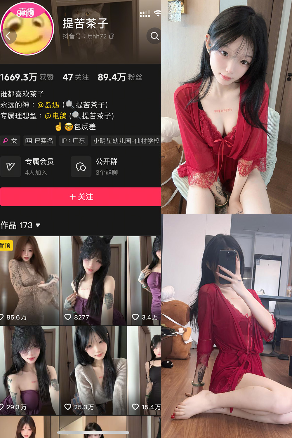 抖音 提苦茶子 岛遇 NO.006期 更新至:2025.8.12